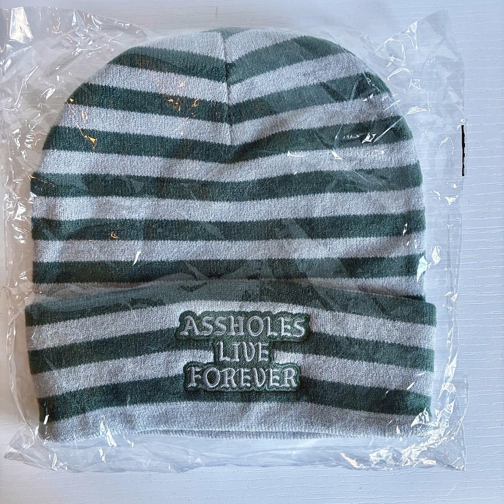 NWT Assholes Live Forever Winter Beanie Unisex Striped Green Grey Alt Streetwear
